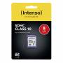 Intenso 1