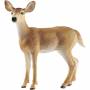 Schleich 1