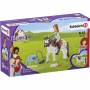 Schleich 1