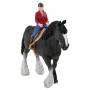Schleich