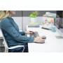 Fellowes 2