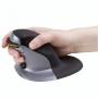 Fellowes 2