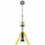 Dewalt 2
