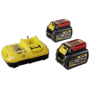Dewalt - Akku Starterkit DCB118T2, Ladegert