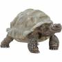 Schleich - Schleich Wild Life 14824 Giant tortoise