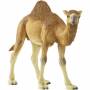Schleich 1