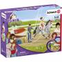 Schleich 1