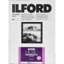 Ilford - 1x100 Ilford MG RC DL 1M 13x18