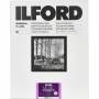 Ilford - 1x 50 Ilford MG RC DL 1M 24x30