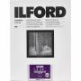 Ilford - 1x100 Ilford MG RC DL 44M 18x24