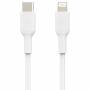 Belkin 1