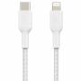 Belkin 1