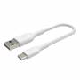 Belkin - USB-C/USB-A Kabel 15cm ummantelt, wei CAB002bt0MWH