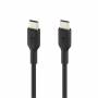 Belkin 2