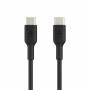 Belkin 1