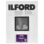 Ilford - 1x100 Ilford MG RC DL 44M 9x13