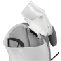 Braun 1