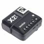 Godox 10