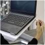 Fellowes 1