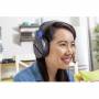 Turtle Beach 1