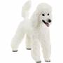 Schleich - Caniche Farm World 13917
