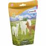 Schleich 1