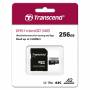 Transcend 1