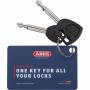 Abus 1