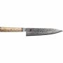 Zwilling 1