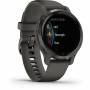 Garmin 10