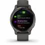 Garmin 6