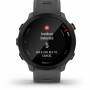 Garmin 10