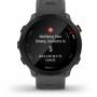 Garmin 4