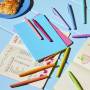 Paper Mate 10