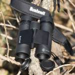 Bushnell 1