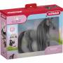 Schleich 1