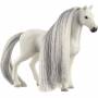 Schleich 2