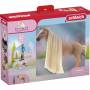Schleich 1