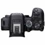 Canon 8