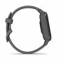 Garmin 6