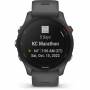 Garmin 6