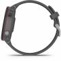 Garmin 1