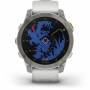Garmin 13