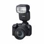 Canon 8