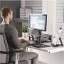 Fellowes 1
