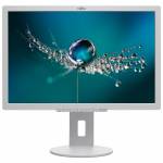 Fujitsu Technology Solutions - Fujitsu B22-8 WE Neo - Business Line - LED-Monitor - 55.9 cm (22) (22 sichtbar) - 1680 x 1050 WSXGA+ - TN - 250 cd/m - 1000:1