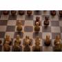 Millennium Chess Classics Exclusive Schachcomputer (m828) 5
