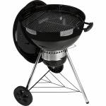 Weber 10