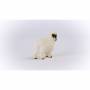 Schleich