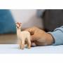 Schleich 1